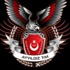 Ayyıldız Tim Çin'e darbe üstüne darbe vurdu