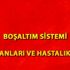 Boşaltım sistemi nedir? Boşaltım sistemi organları ...