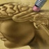 Alzheimer’ın tetikçisi stres ve depresyon Alzheimer’ın tetikçisi stres ve depresyon