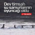 Ölen oğlu için yollardaki yüzlerce çukuru doldurdu