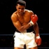 Muhammed Ali yeniden hastanede Muhammed Ali yeniden hastanede