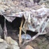 PKK’nın bomba üretim merkezi imha edildi