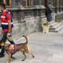 Kars Belediyesi'nde bomba alarmı! Tüm personel dışarı çıkarıldı Kars Belediyesi'nde bomba alarmı! Tüm personel dışarı çıkarıldı