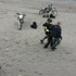 Motosikletli şov kazayla sona erdi Motosikletli şov kazayla sona erdi