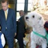 Cumhurbaşkanı Erdoğan Ömer Faruk'a köpek hediye etti