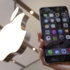 Yeni iPhone Apple'ın karını artırdı