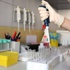 Tüm canlıların DNA’sı burada! Tüm canlıların DNA’sı burada!