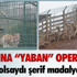 Beyşehir’de Silah Operasyonu Beyşehir’de Silah Operasyonu