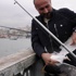 Ayakları kopan martıya protez köpeğe yürüteç takıldı