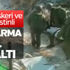 İsrail askerleri yaşlı Filistinliyi sedyede gözaltına aldı