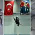 2024 Olimpiyatları için çok ciddi adayız 2024 Olimpiyatları için çok ciddi adayız