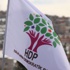 HDP'den iki sürpriz aday!