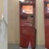 Salgının ortasında ATM bekçisi dev kobra yılanı Salgının ortasında ATM bekçisi dev kobra yılanı