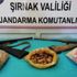 Şırnak'ta toplanması yasaklanan sahlep soğanı ele geçirildi Şırnak'ta toplanması yasaklanan sahlep soğanı ele geçirildi