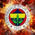 Fenerbahçe'de Robin van Persie ve Alper Potuk şoku