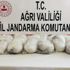Ağrı'da 30 kilogram metamfetamin ele geçirildi Ağrı'da 30 kilogram metamfetamin ele geçirildi