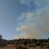 Bodrum'da yangın! Havadan müdahale ediliyor