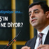 Demirtaş'ın üst aklı ne diyor?