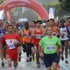 Adana martonunda rekor 150 bin TL