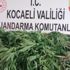 Jandarma ekiplerince 500 kök kenevir ele geçirildi