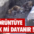 Erkekler Voleybol 1. Ligi