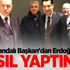 Hollandalı Başkan'dan Erdoğan'a 'Nasıl yaptınız?'