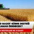 2020 mazot gübre desteği ne zaman ödenecek? Tarım destekleri 2020 ne kadar?
