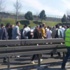 Feci kaza: Metrobüs yoluna iki araç girdi Feci kaza: Metrobüs yoluna iki araç girdi