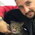 Tombul kedi uçağa alınmayınca sahibi başka kediyi tarttırdı Tombul kedi uçağa alınmayınca sahibi başka kediyi tarttırdı