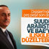 Türkiye'den Suudi Arabistan ve BAE'ye yeşil ışık Türkiye'den Suudi Arabistan ve BAE'ye yeşil ışık
