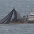 Karadeniz'de Facia: 1 Ölü
