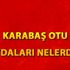 Karabaş otu faydaları nelerdir? Karabaş otu çayı neye ...
