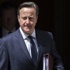 David Cameron: Teröristlerin güvenli limanı olmamalı