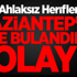 Gaziantep'te Mide Bulandıran Olay