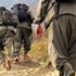 Van'da kız çocuğunu kaçıran PKK'lılar yakalandı