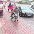 Parti binasından çelengi çaldılar: Şüpheliler yakalandı Parti binasından çelengi çaldılar: Şüpheliler yakalandı