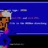 Sanal virüs müzesi “Malware Museum”