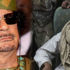 Kaddafi'nin oğlu babası adına geri dönüyor: Siyasete hazırım