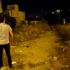 Bodrum da bir hayvansever şehre inen yaban domuzunu ...