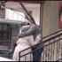 Barışmayı kabul etmeyen kız arkadaşını öldürüp, intihar etti Barışmayı kabul etmeyen kız arkadaşını öldürüp, intihar etti