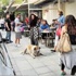 Köpek saldırısı şoku!