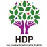 HDP suç duyurusunda bulundu!