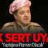 Lucescu Neden Olmadı?