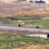 İşte Cizre'den son görüntüler İşte Cizre'den son görüntüler