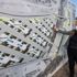 İzmir’de sokak hayvanları için dört dörtlük merkez: Az beton, çok yeşil