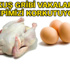 Tavuk, yumurta yiyelim mi?