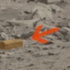 NASA'nın tartışma yaratan fotoğrafı NASA'nın tartışma yaratan fotoğrafı