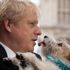 Boris Johnson’un köpeği de onunla birlikte koronavirüse yakalanmış