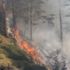 Kastamonu'da çıkan yangınlarda yaklaşık 45 hektar ormanlık alan zarar gördü