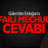 Gülen'den Erdoğan'a 'Faili Meçhul' Cevabı Gülen'den Erdoğan'a 'Faili Meçhul' Cevabı